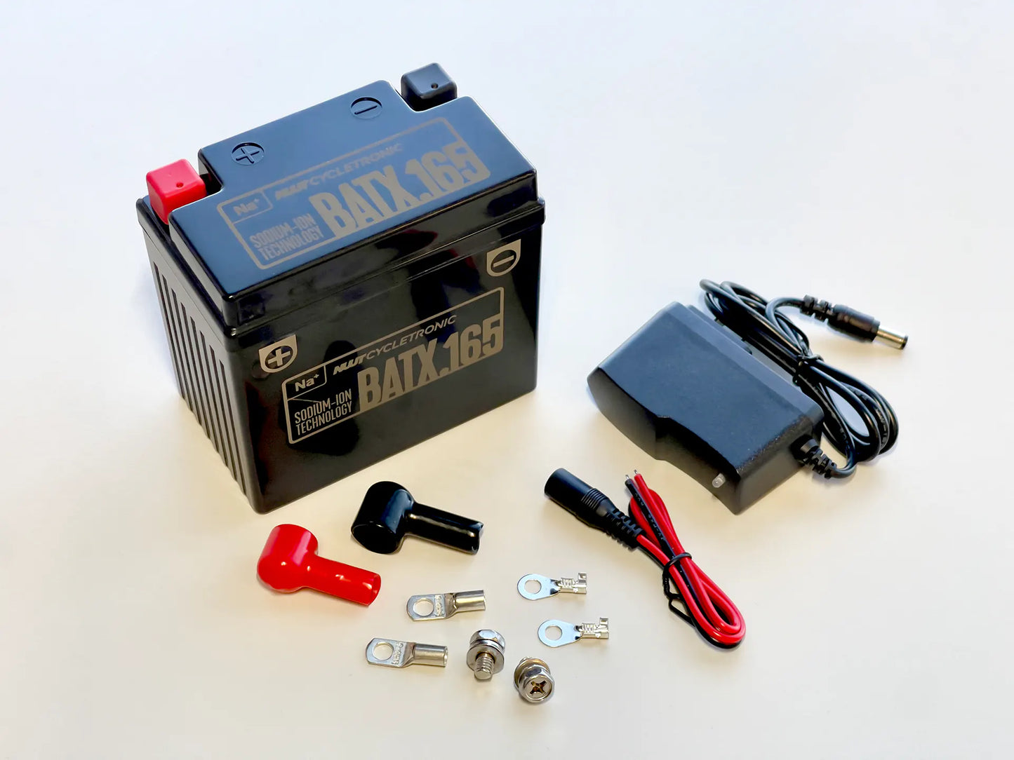 BATX.165 Sodium - ion
